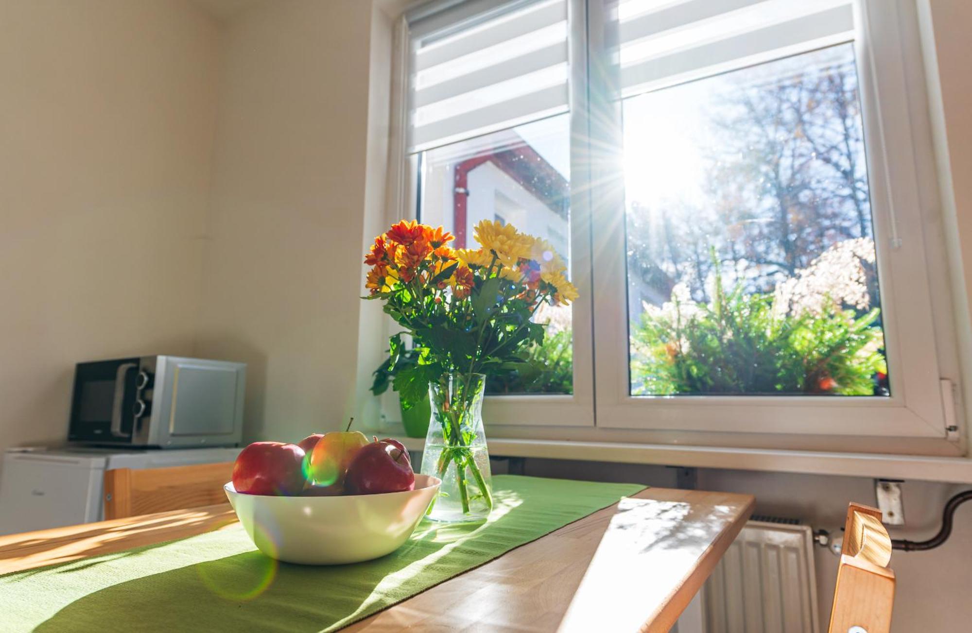 Ubytovani Na Samote - Apartman U Tesaru Komarice 외부 사진