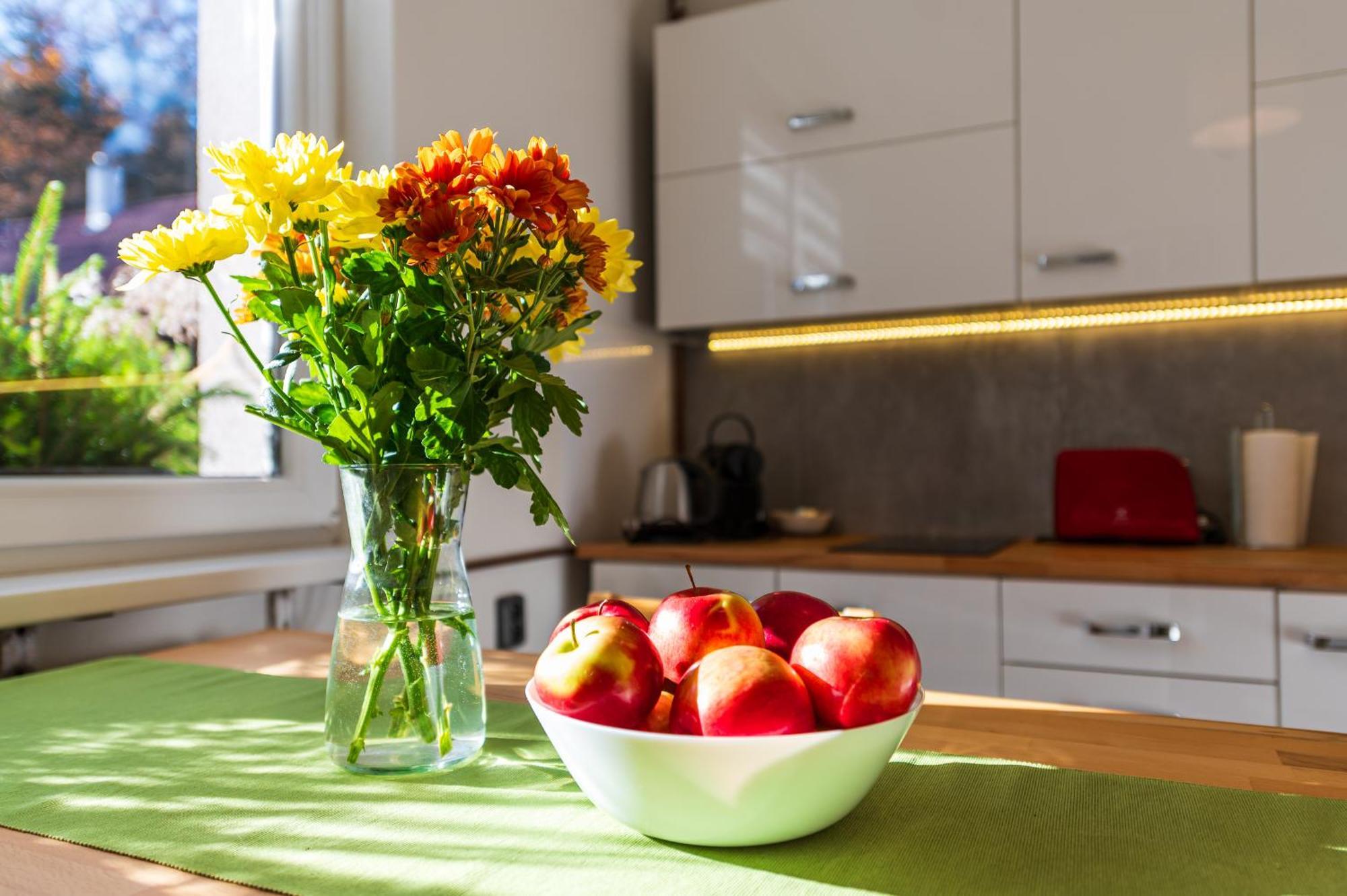 Ubytovani Na Samote - Apartman U Tesaru Komarice 외부 사진